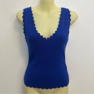 🕊️ 227 - Royal Blue Scalloped V-Neck Women's Top